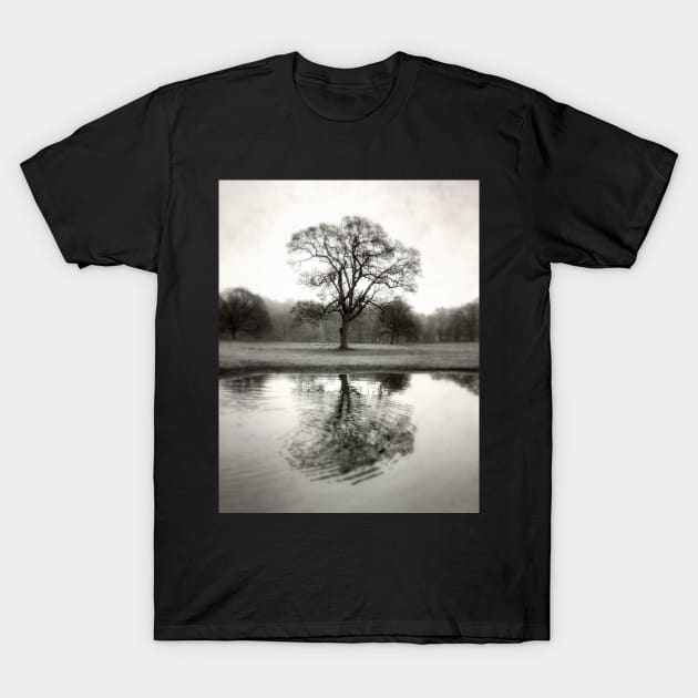 Ripple (tree reflection) T-Shirt by rosedew